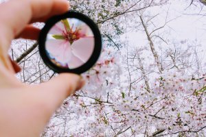 Finding Meaning Start With Your Why